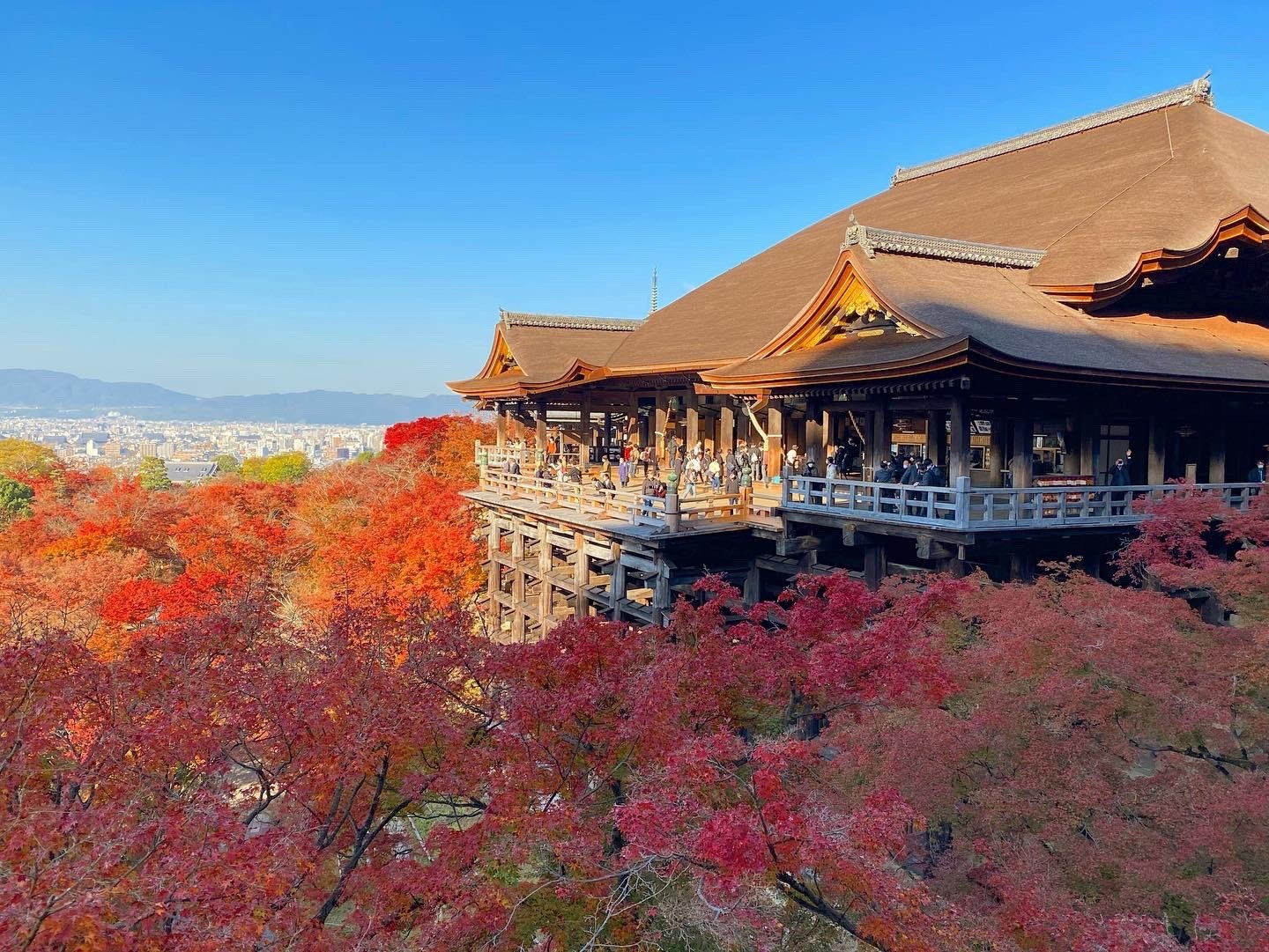 🏞️ 기요미즈 폭포 이미지 7
